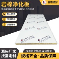 机制岩棉净化板夹芯板金属岩棉复合板实验室净化工程阻燃板材